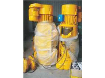 Dual Speed Electric Hoist