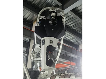 Automatic Metered Feeding System