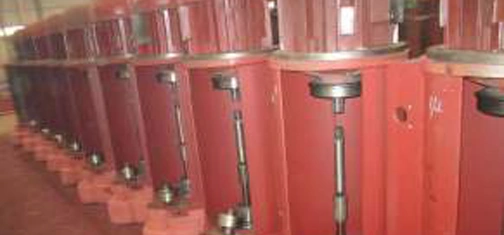 Single Speed Wire Rope Electric Hoist